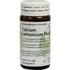 Calcium Carbonicum Phcp Globuli 20 g