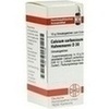 Calcium Carbonicum Hahnemanni D 30 Globuli 10 g