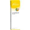 Lymphdiaral Ds Salbe 100 g