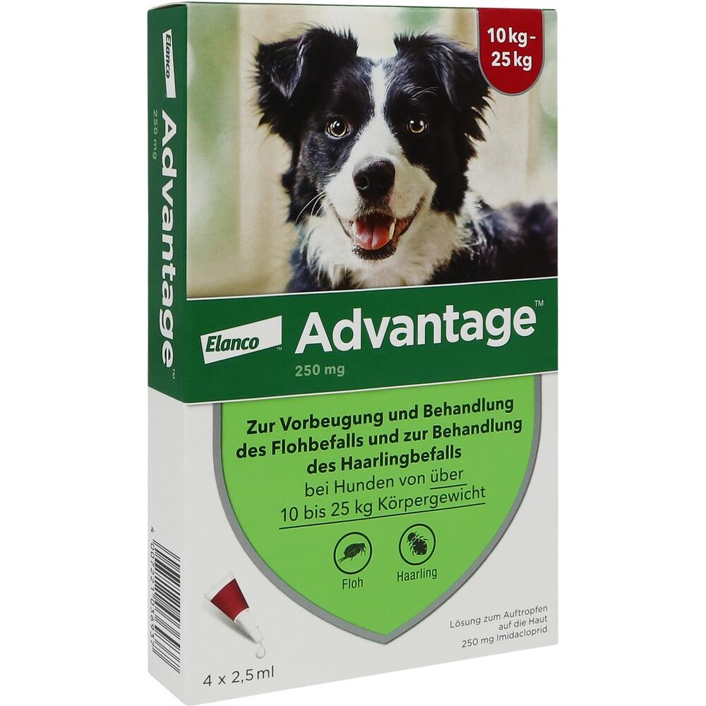 Advantage 250 Hund von Elanco Deutschland GmbH Apotheke am Ring