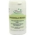 RHODIOLA ROSEA 3% Vegi Kapseln