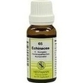 ECHINACEA K Komplex Nr.65 Dilution