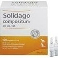 SOLIDAGO COMPOSITUM ad us.vet.Ampullen