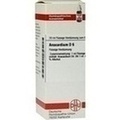 ANACARDIUM D 6 Dilution