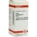CARBO VEGETABILIS D 4 Tabletten