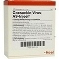 COXSACKIE-Virus A9 Injeel Ampullen