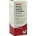 PRUNUS SPINOSA e floribus W5% Oleum