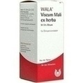 VISCUM MALI ex herba W 5% Oleum