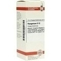 PYROGENIUM D 12 Dilution