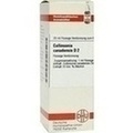 COLLINSONIA CANADENSIS D 2 Dilution