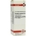 PLUMBUM ACETICUM D 6 Dilution