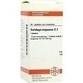 SOLIDAGO VIRGAUREA D 2 Tabletten