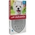 ADVANTIX Spot-on Lsg.z.Auftr.a.d.H.f.Hund 4-10 kg