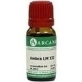 AMBRA LM 12 Dilution