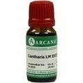 CANTHARIS LM 18 Dilution