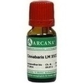 CINNABARIS LM 18 Dilution