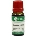 SPONGIA LM 6 Dilution