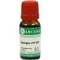 SPONGIA LM 12 Dilution