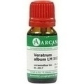 VERATRUM ALBUM LM 18 Dilution