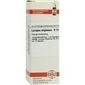 LYCOPUS VIRGINICUS D 12 Dilution