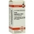 CARBO VEGETABILIS LM VI Dilution