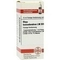 RHUS TOXICODENDRON LM XVIII Dilution