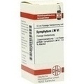 SYMPHYTUM LM VI Dilution