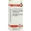 PHOSPHORUS LM XXIV Dilution