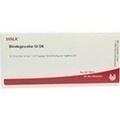 BINDEGEWEBE GL D 6 Ampullen