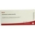 ECHINACEA E planta tota D 2 Ampullen