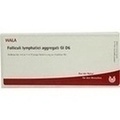 FOLLICULI LYMPHATICI aggregati GL D 6 Ampullen