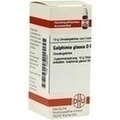 GALPHIMIA GLAUCA D 6