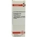 CRATAEGUS D 12 Dilution