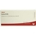 CORNEA GL D 5 Ampullen