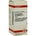 HARPAGOPHYTUM PROCUMBENS D 12 Tabletten