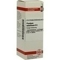 PLUMBUM METALLICUM D 6 Dilution