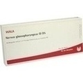 NERVUS GLOSSOPHARYNGEUS GL D 5 Ampullen
