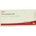 NERVUS PERONAEUS GL D 6 Ampullen