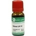 SCILLA LM 6 Dilution