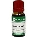 SILICEA LM 24 Dilution