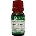 THUJA LM 24 Dilution