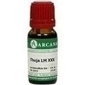 THUJA LM 60 Dilution