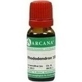 RHODODENDRON LM 18 Dilution