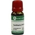 CANTHARIS LM 30 Dilution