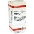 HYPOPHYSIS CEREBRI SICC. D 12 Tabletten