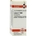 LEDUM C 1000 Globuli