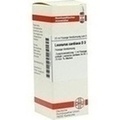 LEONURUS CARDIACA D 3 Dilution