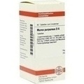 MUREX PURPUREUS D 6 Tabletten