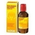 SOLIDAGO HEVERT Complex Tropfen