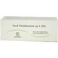JSO Gw 8 Chelidonium cp S Globuli